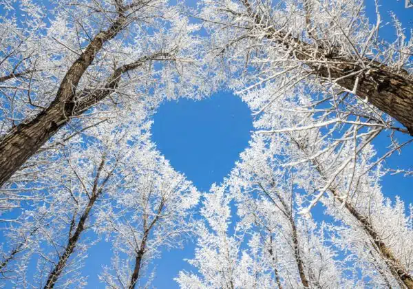 Wonderful Winter Wedding Ideas